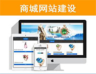 商城網(wǎng)站建設有哪些功能？